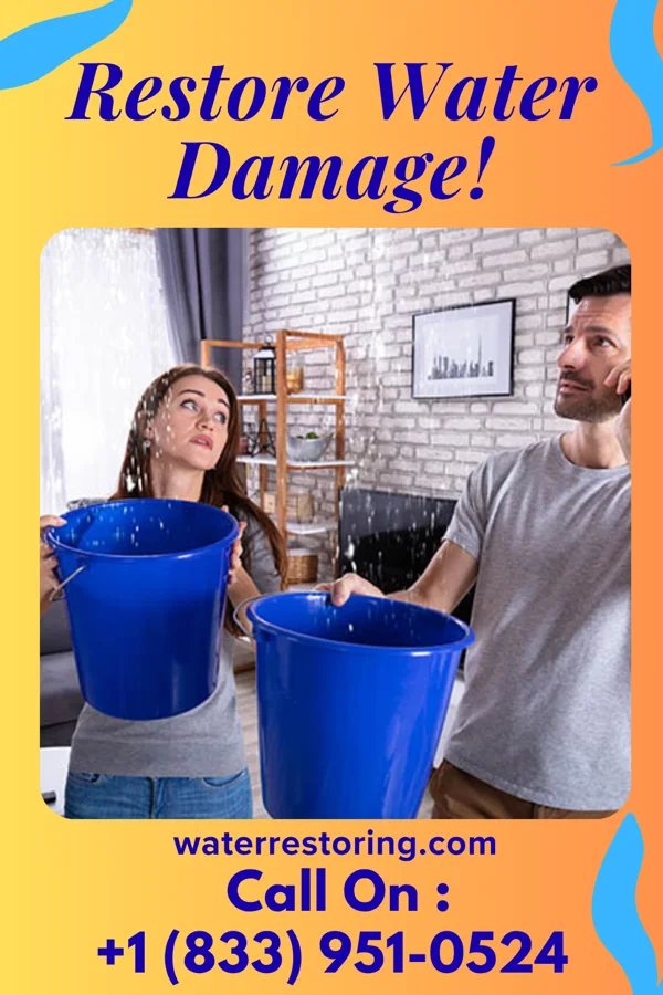 water restoration Citywide Sewage Cleanup & Associates Fletcher