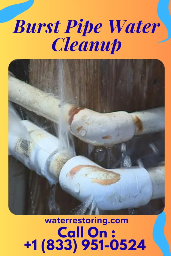 Burst Pipe Water Cleanup in Fletcher, OH