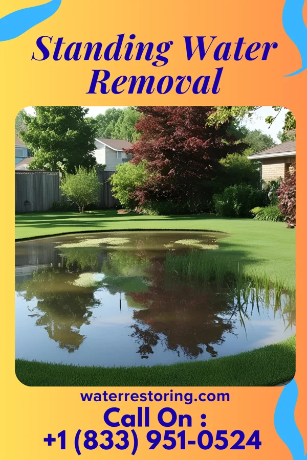 Standing Water Removal in Fletcher, OH